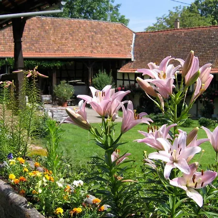 Le Gite Des Ecureuils Schalkendorf Exterior photo